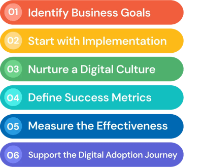 Our Process